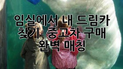 임실에서 내 드림카 찾기?! 🚗💨 중고차 구매 완벽 매칭!